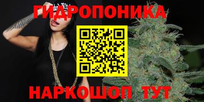 индика Кулебаки