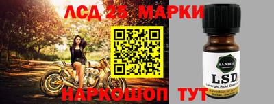 прущие грибы Краснознаменск
