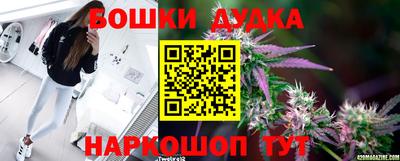прущие грибы Краснознаменск