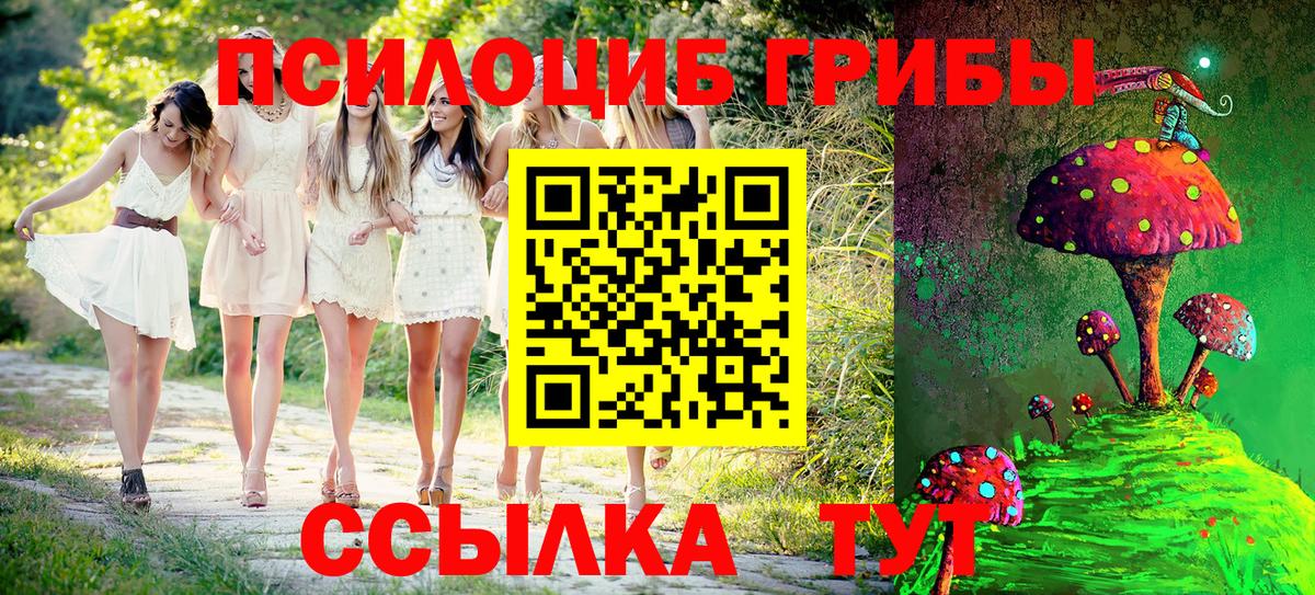 Псилоцибиновые грибы мицелий Заволжье